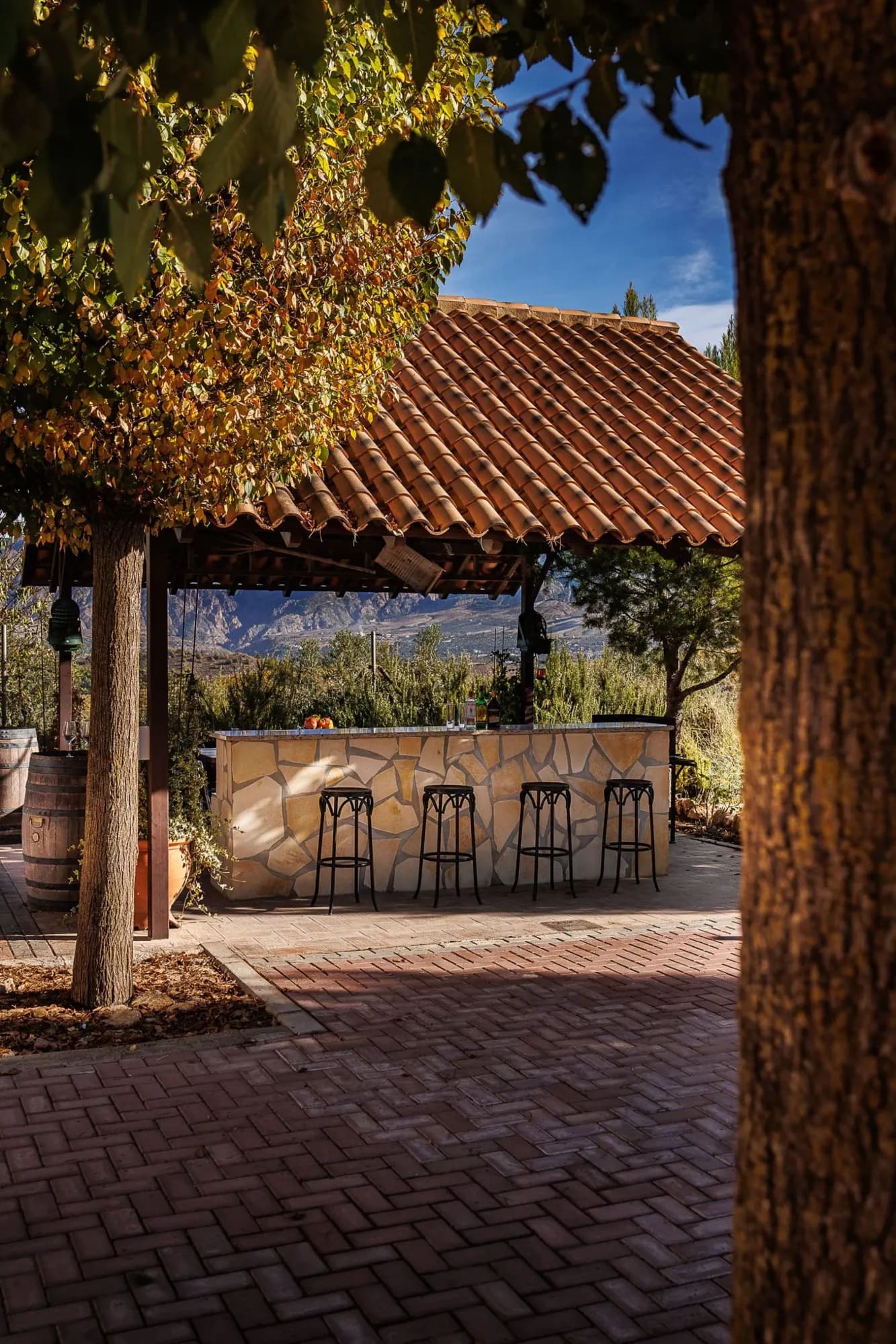 Patio con árboles