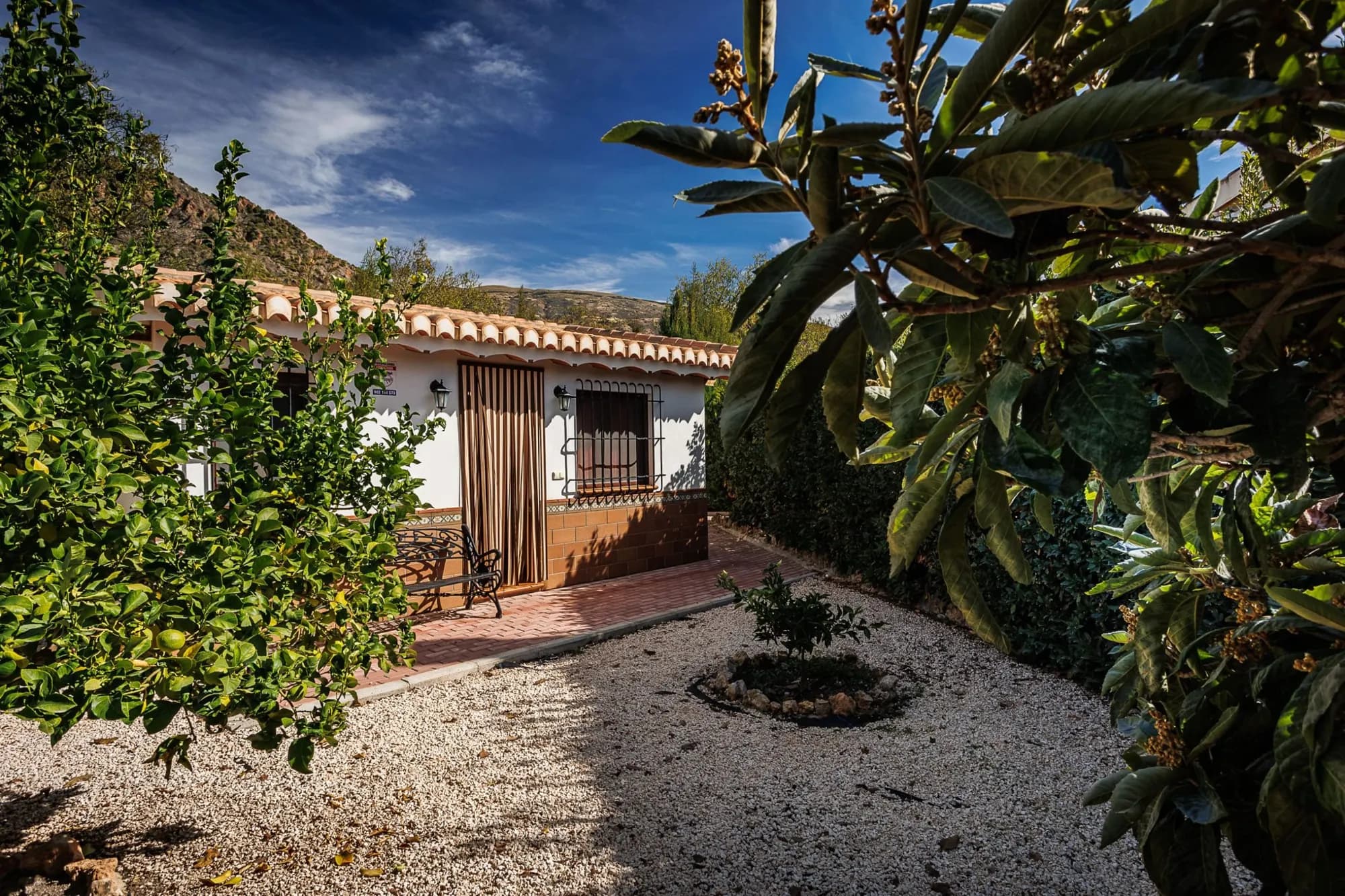 Rincón del jardín junto a la casa