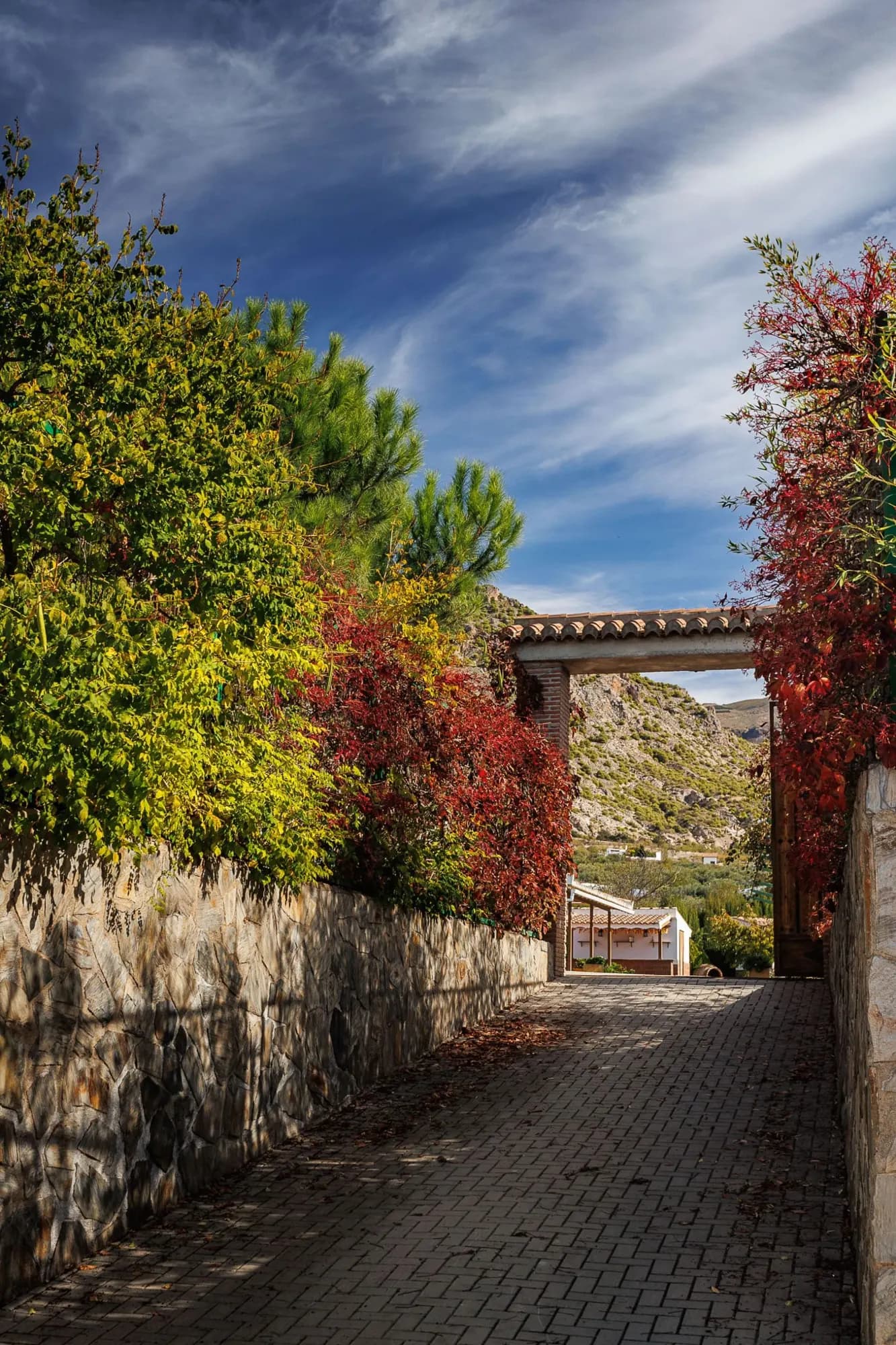 Camino de entrada a la finca